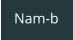 Nam-b